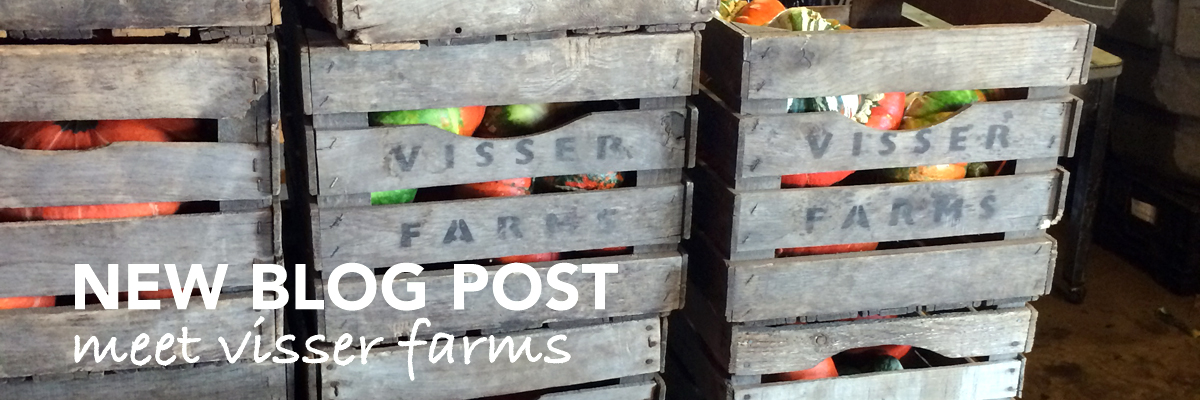 Read more about the article Visser Farm