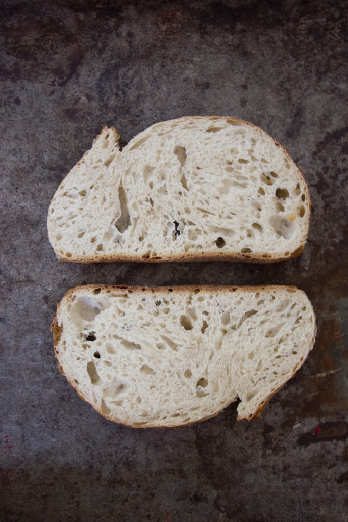 Read more about the article Italian