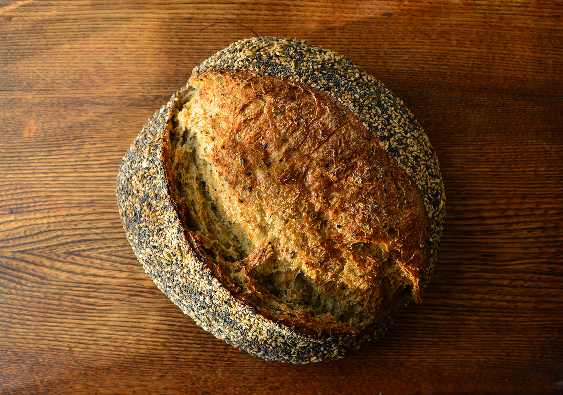 Read more about the article Righteous Seed