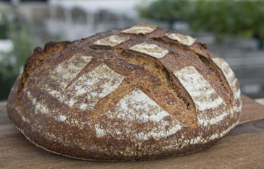 You are currently viewing Miche