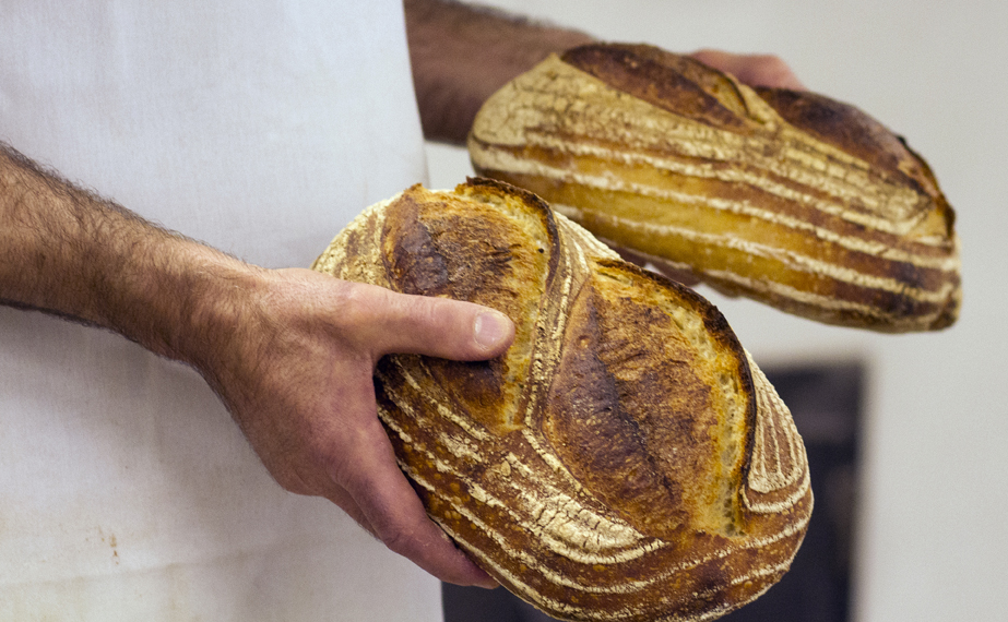 Read more about the article Levain