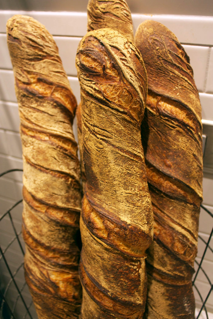 Read more about the article Tordu